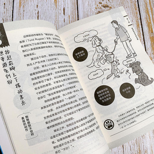 看图读懂狗狗心理 商品图5