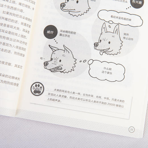 看图读懂狗狗心理 商品图14
