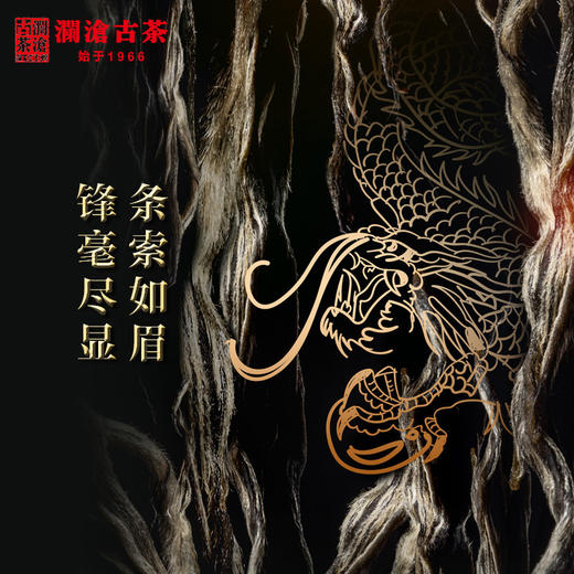 澜沧古茶2020年霸道金罐品鉴装 10g 布朗普洱茶生茶勐海 商品图3