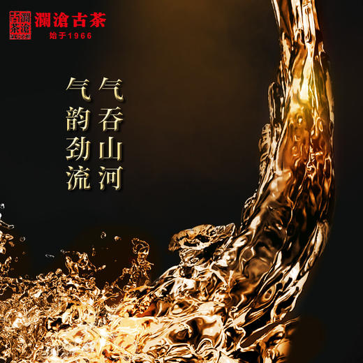 澜沧古茶2020年霸道金罐品鉴装 10g 布朗普洱茶生茶勐海 商品图4