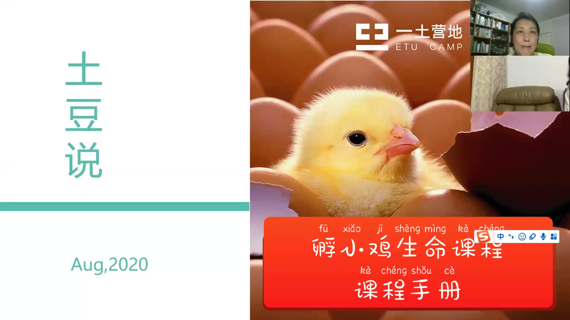 2期0828孵小鸡土豆说2