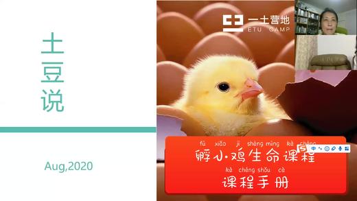 2期0828孵小鸡土豆说2 商品图0