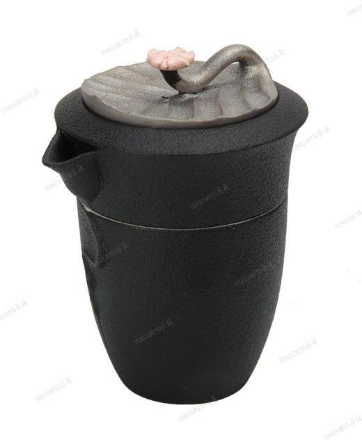 丝路花语·现代·易泡壶 商品图0