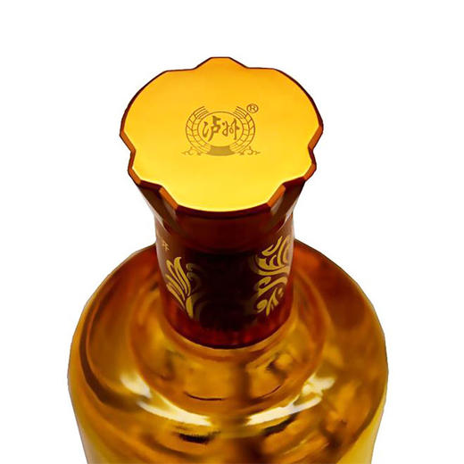 【泸州老窖酒名堂】泸州贡 精品9 52度 500ml*3 商品图3