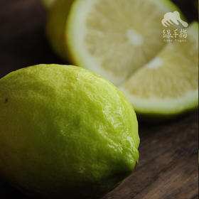 有机香水柠檬 | 绿家自产 * Organic Perfume lemon | Self-production