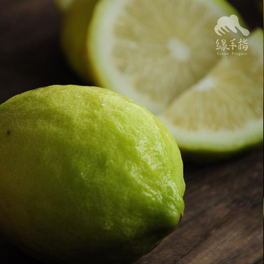 有机香水柠檬 | 绿家自产 * Organic Perfume lemon | Self-production 商品图0