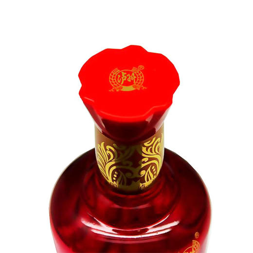 【泸州老窖酒名堂】泸州贡 精品9 52度 500ml*3 商品图1