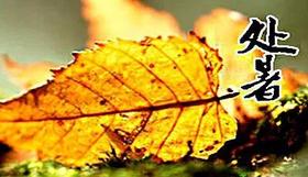  今日处暑，养生要点！ 