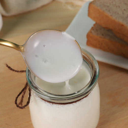 伊利益消酸奶1.05kg 商品图1