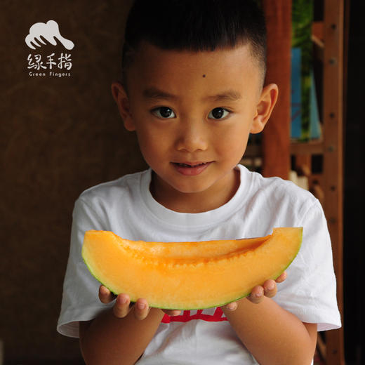 生态沙漠西州蜜蜜瓜 | 合作生产*Eco-XEco-Xizhou sweet melon of desert | Coproduction| 商品图4