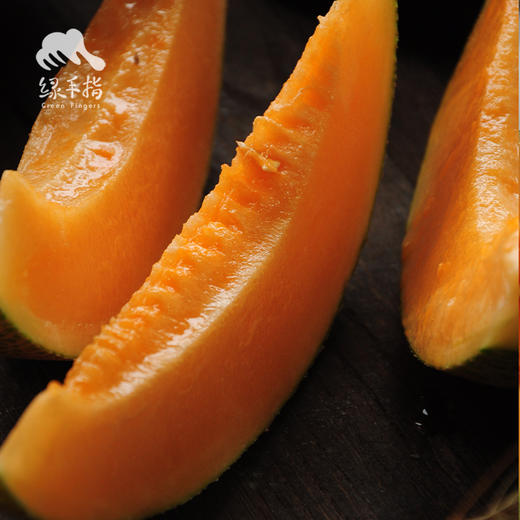 生态沙漠西州蜜蜜瓜 | 合作生产*Eco-XEco-Xizhou sweet melon of desert | Coproduction| 商品图1