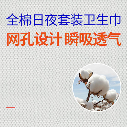 贝莱康全棉纤薄透气卫生巾240mm8片 商品图2