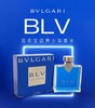 BVLGARI/宝格丽 蓝茶男士 很男人前调檀中调生姜尾调烟草花 商品缩略图1