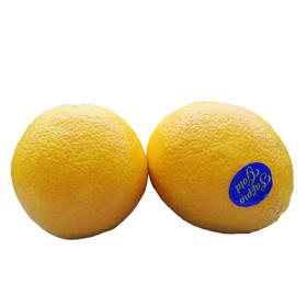 南非脐橙 500g/份