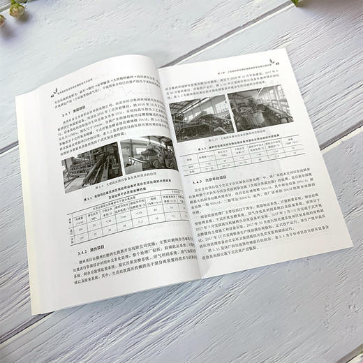 城市有机生活垃圾处理新技术及应用 孔鑫 著 城市有机生活垃圾处理设施运行和管理书籍 零价铁在垃圾厌氧处理中的作用 环境工程 商品图4