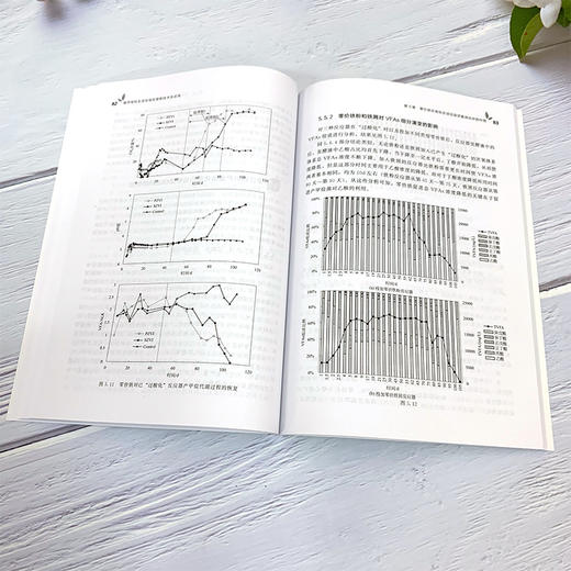 城市有机生活垃圾处理新技术及应用 孔鑫 著 城市有机生活垃圾处理设施运行和管理书籍 零价铁在垃圾厌氧处理中的作用 环境工程 商品图3