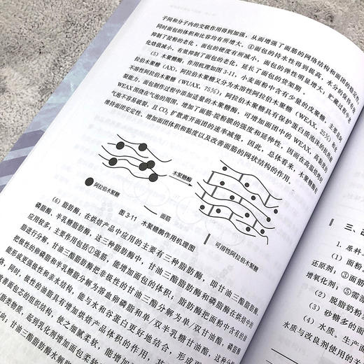 冷冻烘焙技术与应用 冷冻技术冷冻烘焙技术原理冷冻烘焙产品制冷技术烘焙原材料基础知识冷冻蛋糕甜点曲奇冷冻酥产品制作工艺书籍 商品图2