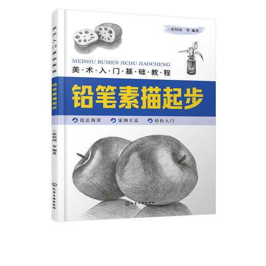 美术入门基础教程 铅笔素描起步 铅笔素描书籍 素描基础教程 素描几何体单个静物画法组合静物画法 素描入门自学教材书籍 临摹画册 商品图5