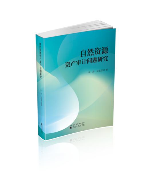 自然资源资产审计问题研究 商品图0