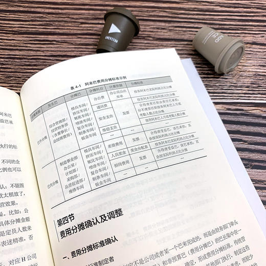 中国式阿米巴经营模式之经营会计操盘策略 胡忆湘 企业管理书籍 企业转变经营管路思路 阿米巴经营模式 财务管理会计核算 经营决策 商品图4