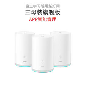 华为Q2 Pro 3母路由器