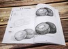 美术入门基础教程 铅笔素描起步 铅笔素描书籍 素描基础教程 素描几何体单个静物画法组合静物画法 素描入门自学教材书籍 临摹画册 商品缩略图4