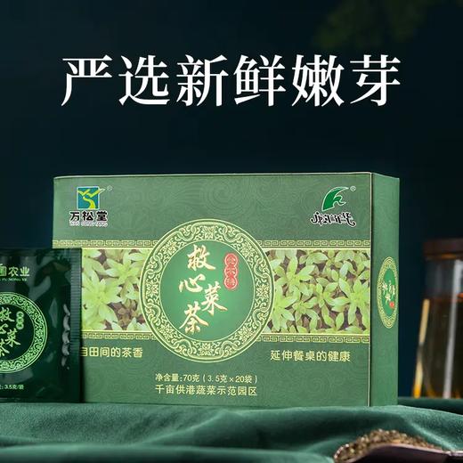 “金不换”健康野菜茶，富含氨基酸与维生素，适宜广大中老年使用 商品图2