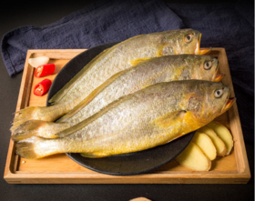  从古到今的餐桌名角er—黄花鱼 