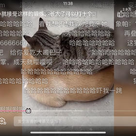 中号的规格明细测试