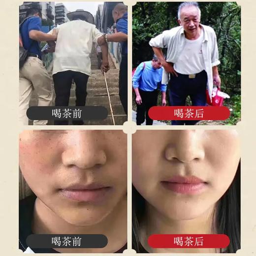 云南彝族深山猫须草健康茶饮，色泽澄亮，口感醇香 商品图3