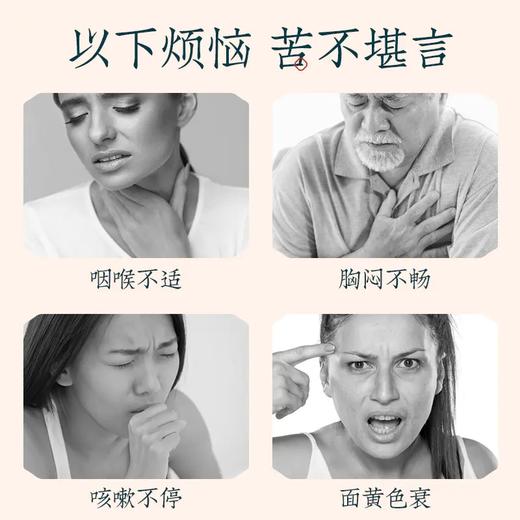 御恒堂益柿贴 商品图1