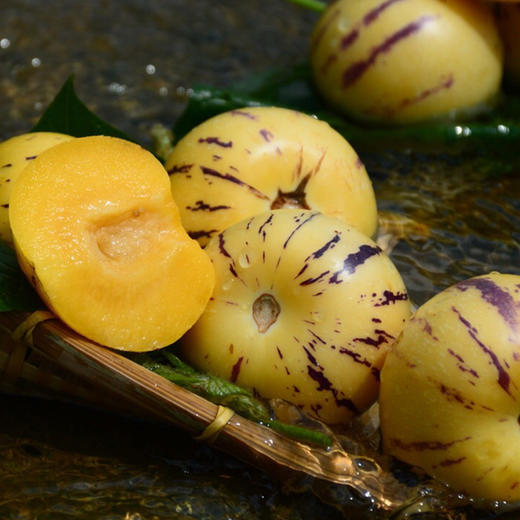 【云南·石林】新下黄肉清甜圆人参果 树上熟人参果 新鲜当季水果 商品图5