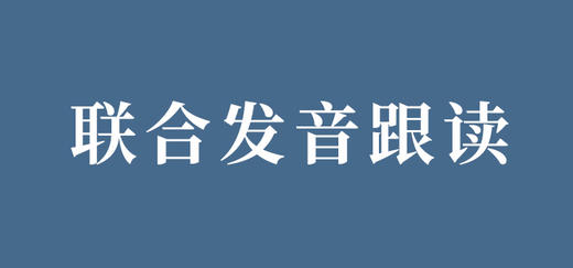 Fabio联合发音优秀 商品图0