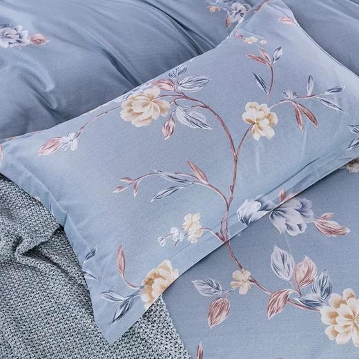喜芙妮（SOFTNIE）家纺床上用品莫兰系列金典律动四件套 西雅图 200*230 CM 商品图3