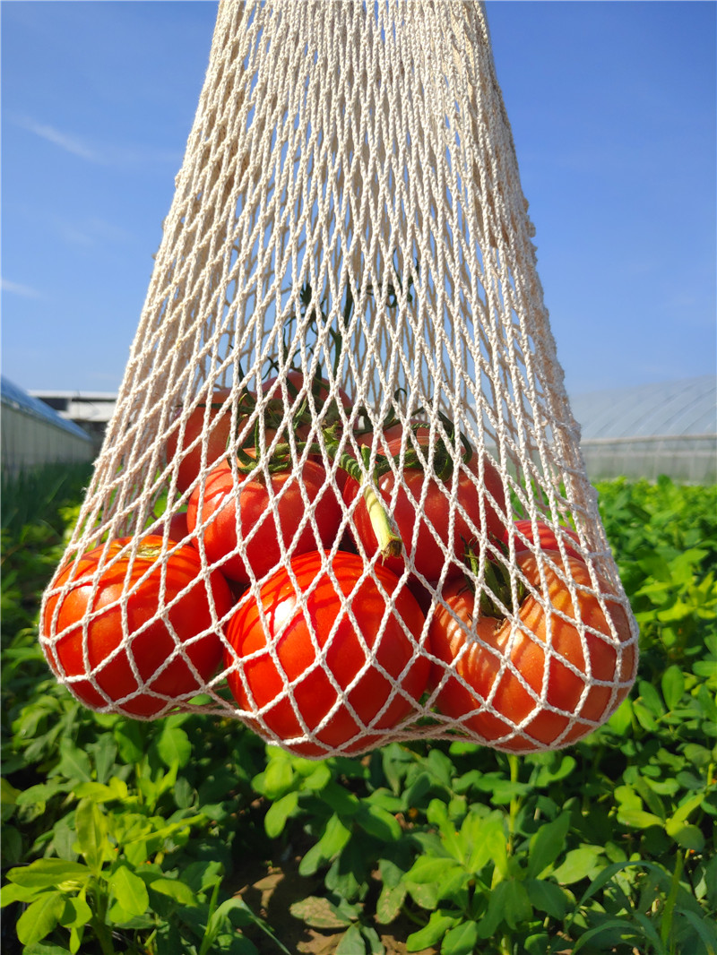 苹果青番茄酸酸甜甜的儿时番茄味