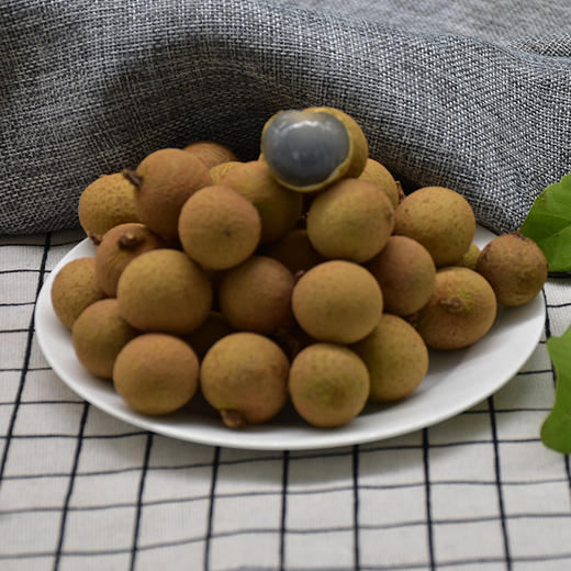 遵义赤水【元厚龙眼】 4.5斤带枝 新鲜直达 贵州桂圆值得一尝 贵州省内购买包邮 商品图3