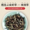 云南彝族深山猫须草健康茶饮，色泽澄亮，口感醇香 商品缩略图1