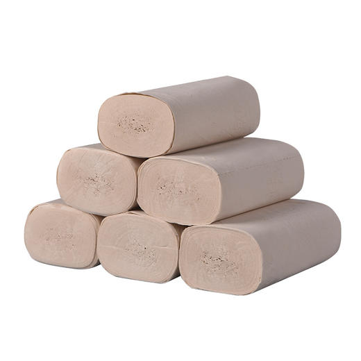 【植护无芯本色卷纸10卷/提】卫生纸居家日用纸巾厕纸擦手纸 商品图1