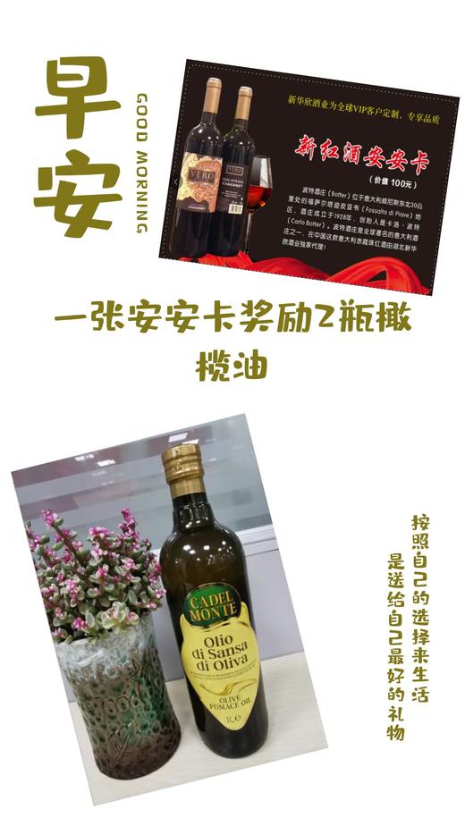 一张安安卡奖励2瓶橄榄油 商品图0