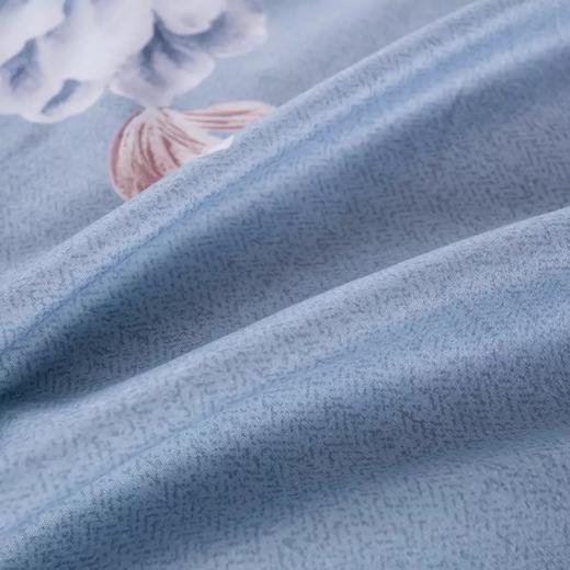 喜芙妮（SOFTNIE）家纺床上用品莫兰系列金典律动四件套 西雅图 200*230 CM 商品图5