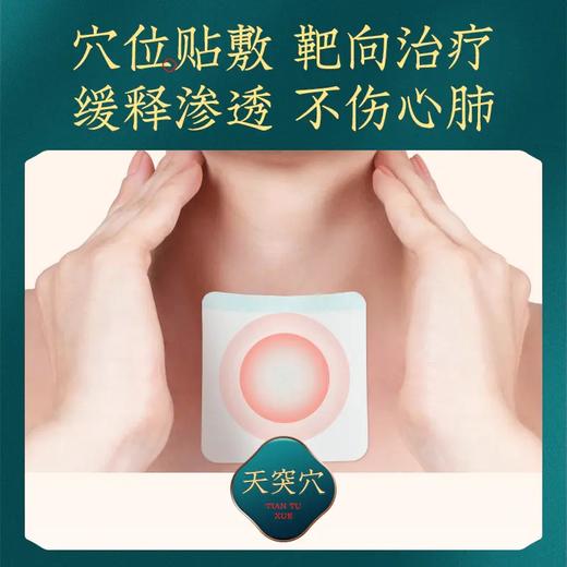 御恒堂益柿贴 商品图2