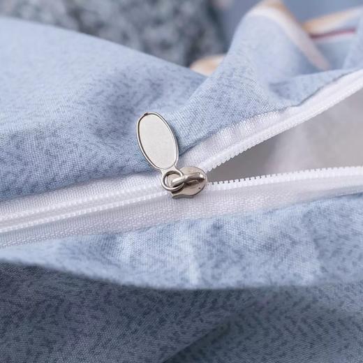 喜芙妮（SOFTNIE）家纺床上用品莫兰系列金典律动四件套 西雅图 200*230 CM 商品图1