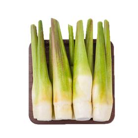 景宁有机高山冷水茭白2斤