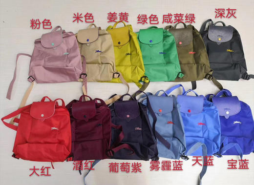 原单法国LongChamp双肩包绣马款折叠手提包龙防水骧包尼龙旅行背包 商品图8