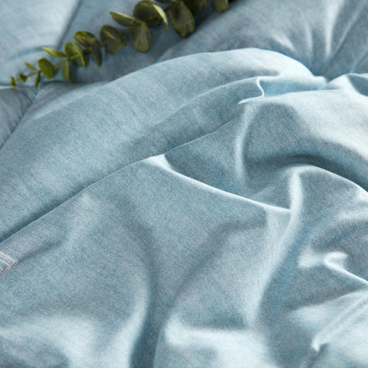 惠慈家居 德芙薰衣草被 羽丝棉薰衣草棉被 花香一室 150*200/200*230 两种规格可选 商品图1