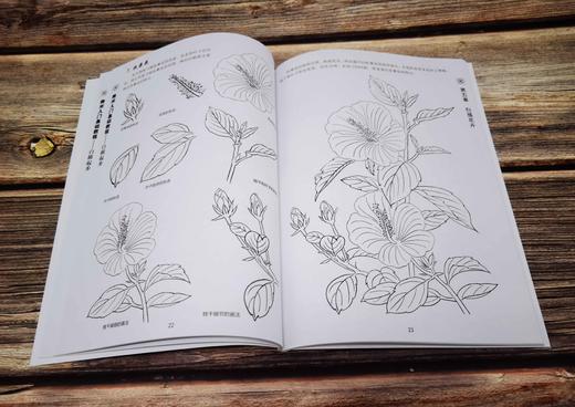美术入门基础教程 白描起步 画画自学零基础手绘书籍 工笔画 画册画集 初学者中国画技法艺术临摹书 中国画论教学画 原画教材 商品图4