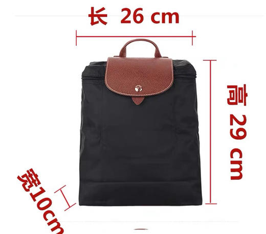 原单法国LongChamp双肩包绣马款折叠手提包龙防水骧包尼龙旅行背包 商品图7