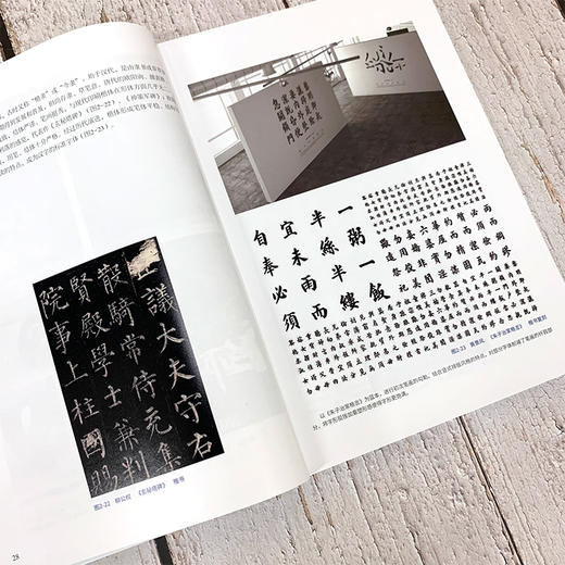 视觉传达设计必修课 字体设计 杨朝辉 字体设计起源发展原则规范方法与实践创意设计编排应用书籍 字体设计与创意字体设计入门教程 商品图1