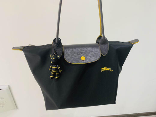 原单法国LongChamp单肩包大号长柄中号长柄刺绣单肩饺子包手提中大包 商品图3