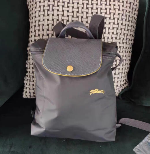 原单法国LongChamp双肩包绣马款折叠手提包龙防水骧包尼龙旅行背包 商品图5